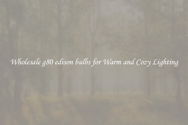 Wholesale g80 edison bulbs for Warm and Cozy Lighting