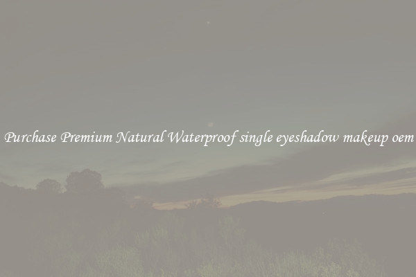 Purchase Premium Natural Waterproof single eyeshadow makeup oem