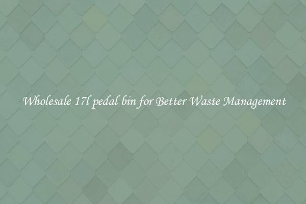 Wholesale 17l pedal bin for Better Waste Management