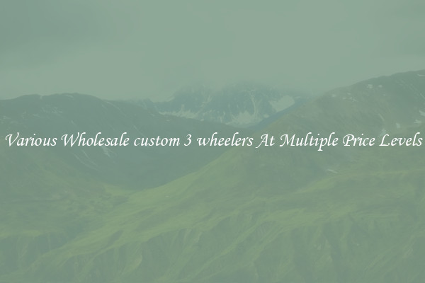 Various Wholesale custom 3 wheelers At Multiple Price Levels