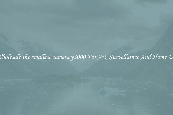 Wholesale the smallest camera y3000 For Art, Survellaince And Home Use