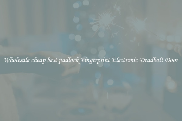 Wholesale cheap best padlock Fingerprint Electronic Deadbolt Door 