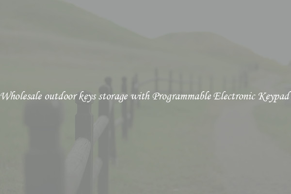 Wholesale outdoor keys storage with Programmable Electronic Keypad 