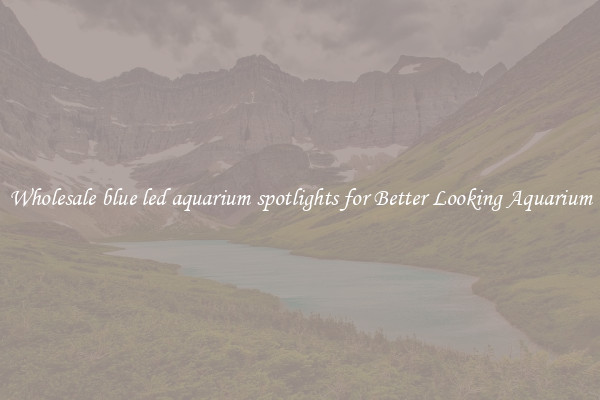 Wholesale blue led aquarium spotlights for Better Looking Aquarium