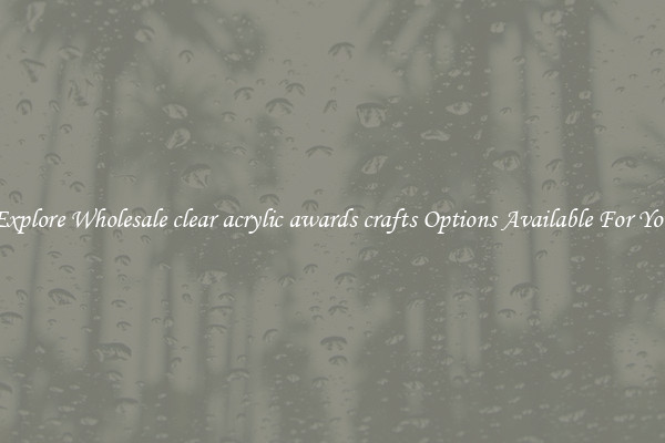 Explore Wholesale clear acrylic awards crafts Options Available For You