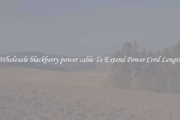 Wholesale blackberry power cable To Extend Power Cord Length