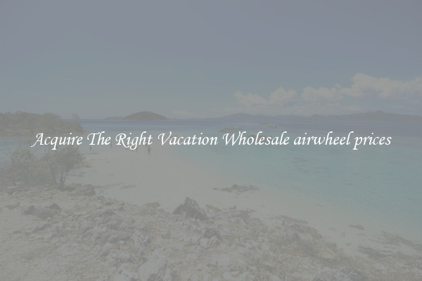 Acquire The Right Vacation Wholesale airwheel prices