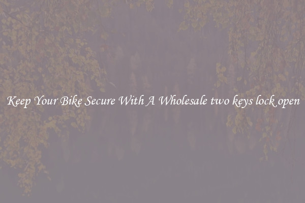 Keep Your Bike Secure With A Wholesale two keys lock open