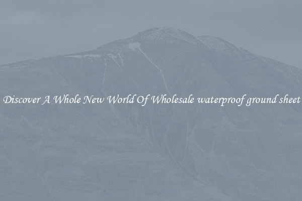 Discover A Whole New World Of Wholesale waterproof ground sheet