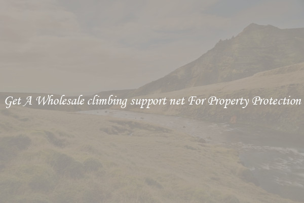 Get A Wholesale climbing support net For Property Protection