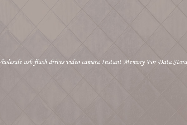 Wholesale usb flash drives video camera Instant Memory For Data Storage