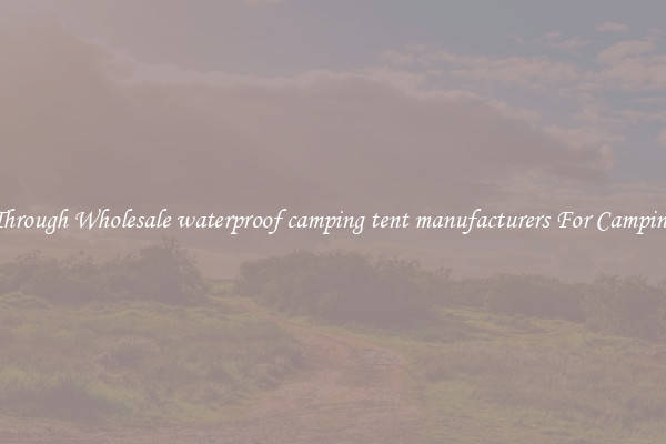 Look Through Wholesale waterproof camping tent manufacturers For Camping Trips