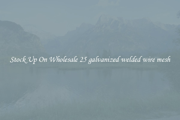 Stock Up On Wholesale 25 galvanized welded wire mesh