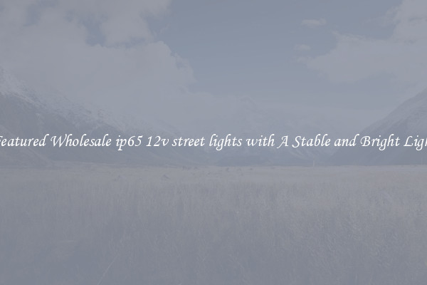 Featured Wholesale ip65 12v street lights with A Stable and Bright Light