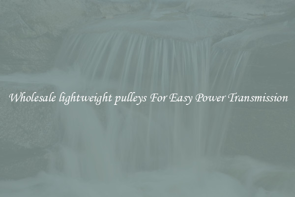 Wholesale lightweight pulleys For Easy Power Transmission