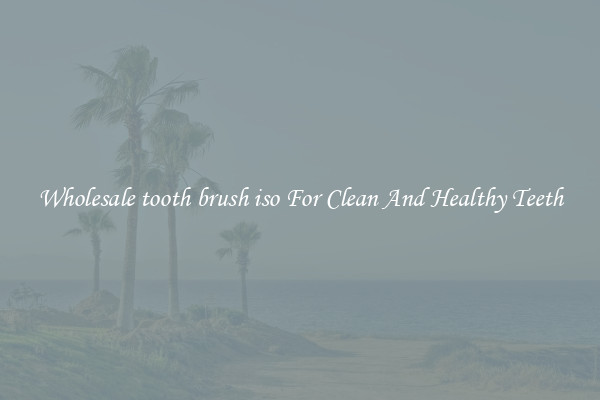 Wholesale tooth brush iso For Clean And Healthy Teeth