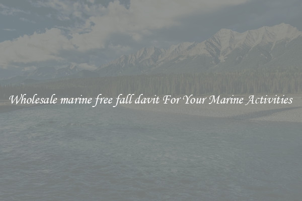 Wholesale marine free fall davit For Your Marine Activities 