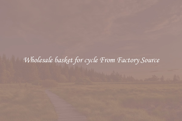 Wholesale basket for cycle From Factory Source