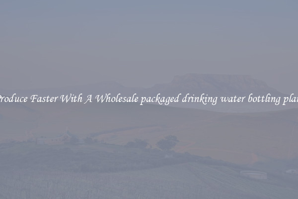 Produce Faster With A Wholesale packaged drinking water bottling plant