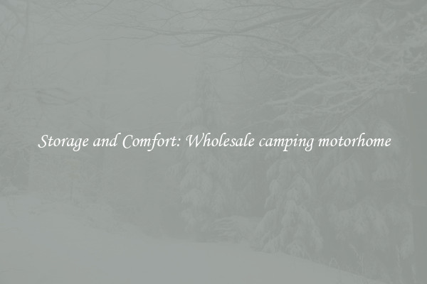 Storage and Comfort: Wholesale camping motorhome